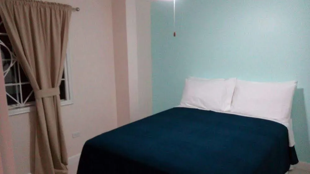 The Terrace Guest Apartment Кингстон